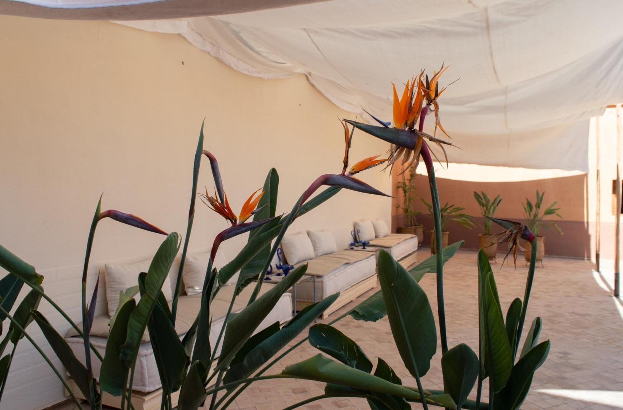 Ferme D'hote Zomorroda * Marrakesch
